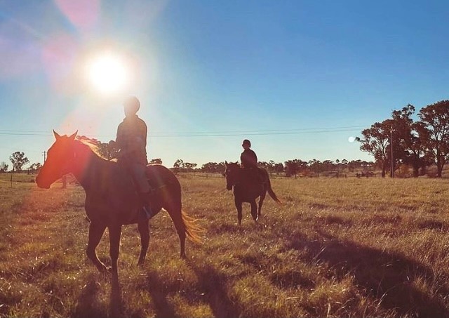 Retired Racehorses Raising The Bar