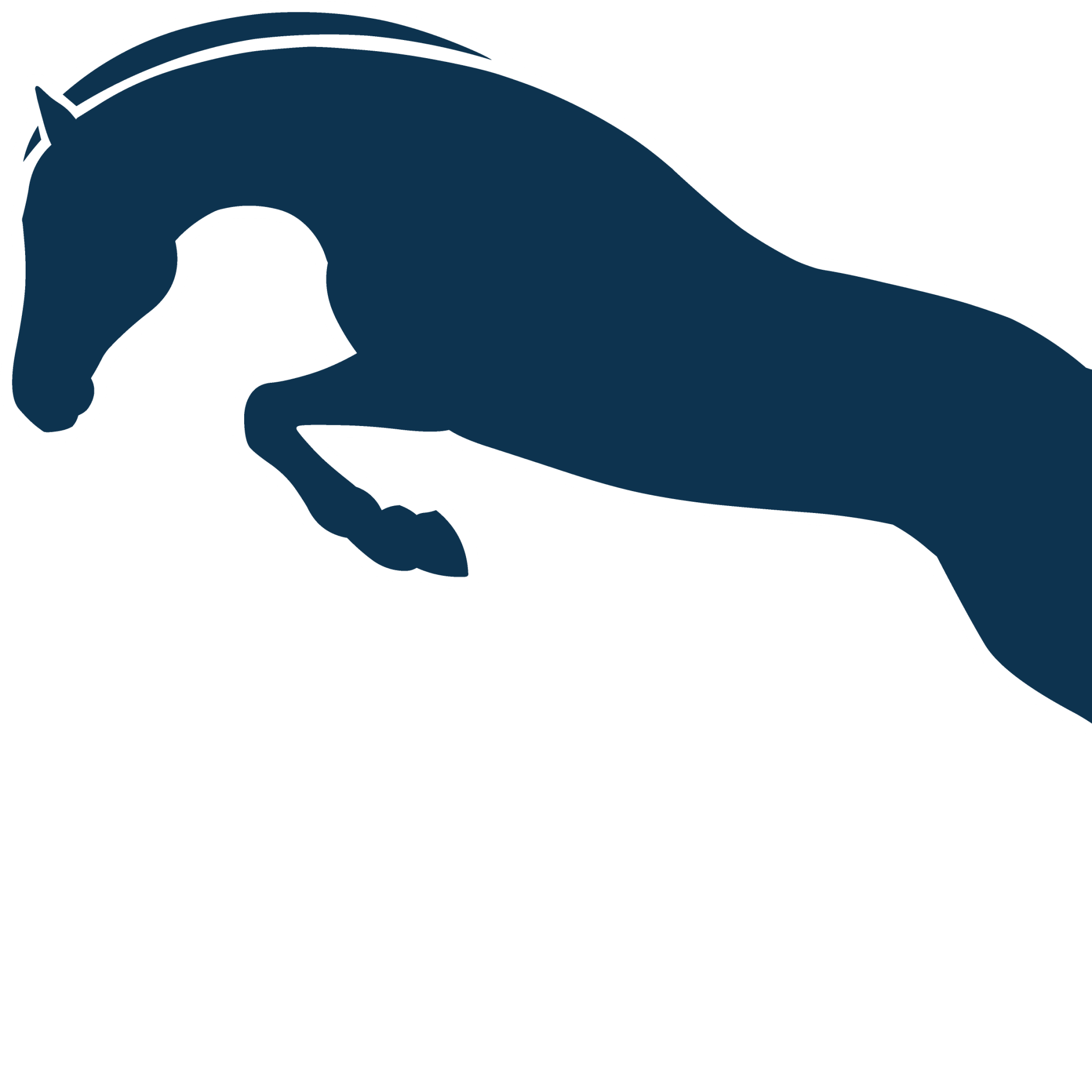 Horses Team Thoroughbred NSW