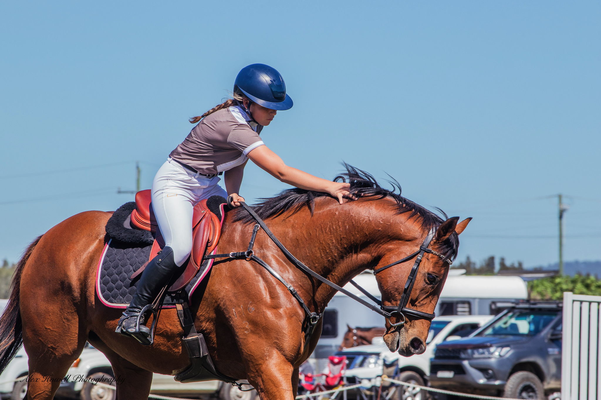 Team Thoroughbred graduate on road to Equimillion