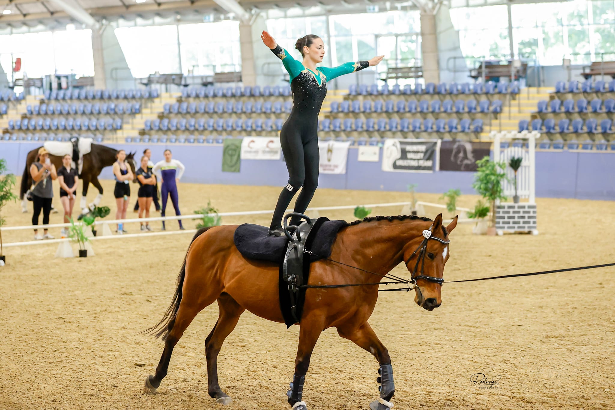 Ex-racehorse turned vaulting powerhouse