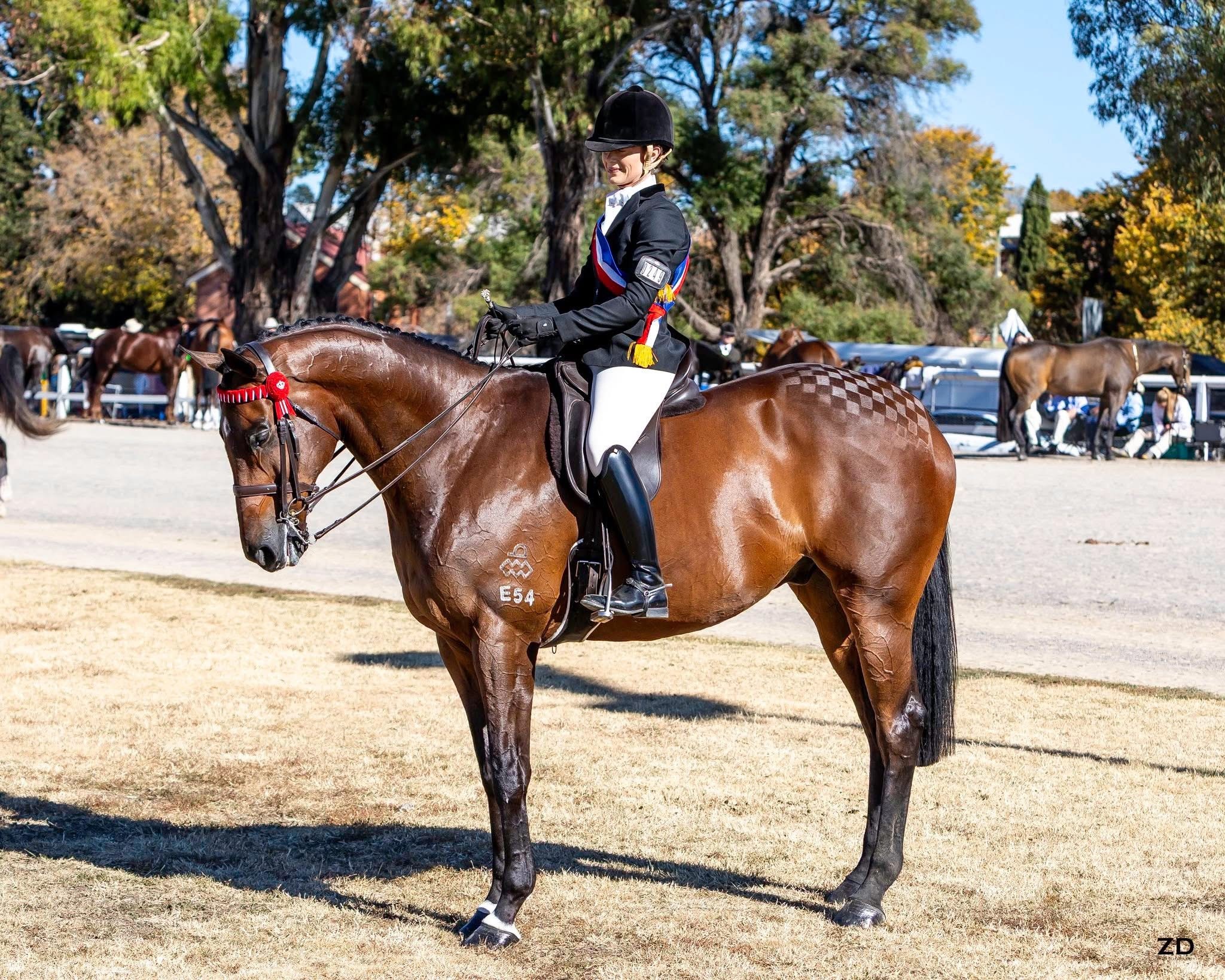 Heart, Heritage, and Horses: Thoroughbreds Take Centre Stage at the 157th Bathurst Royal Show