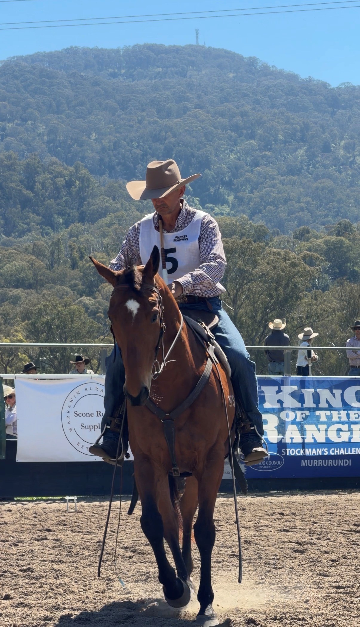 Team Thoroughbred NSW Champions Retired Thoroughbred Racehorses at King of the Ranges 2026